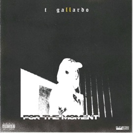 PATIENT (feat. AV) T Gallardo