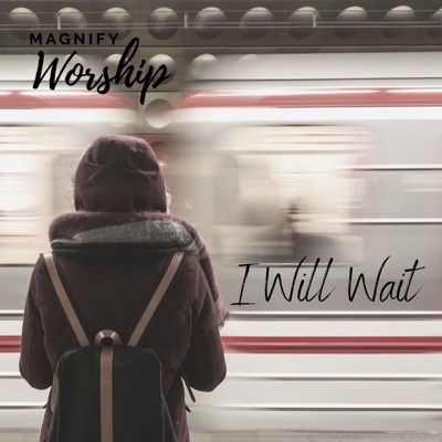 I Will Wait (feat. Allison Hickam) - Single