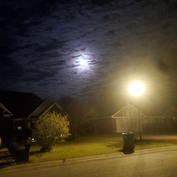 The dark of night (Throwaway)