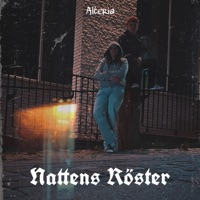 Nattens röster - Single - Alteria