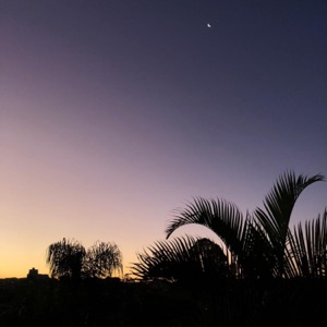 Nature Sounds and Cool Acoustic Guitar