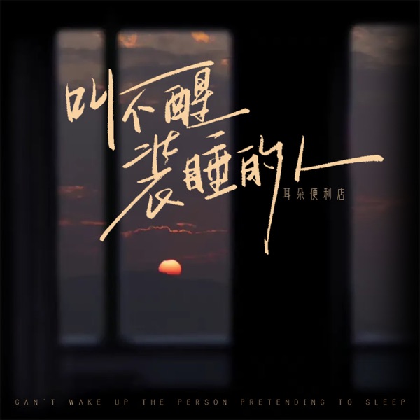 叫不醒装睡的人 - Single