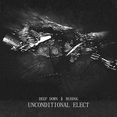 unconditional elect (feat. Buddog) - Single