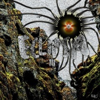 Eclipsa - Single - 111Savin