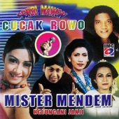 album