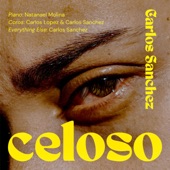 Celoso artwork