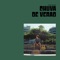 Chuva De Verão - Pedro Mizutani lyrics