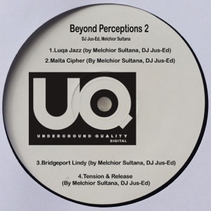 Beyond Perceptions 2 - EP