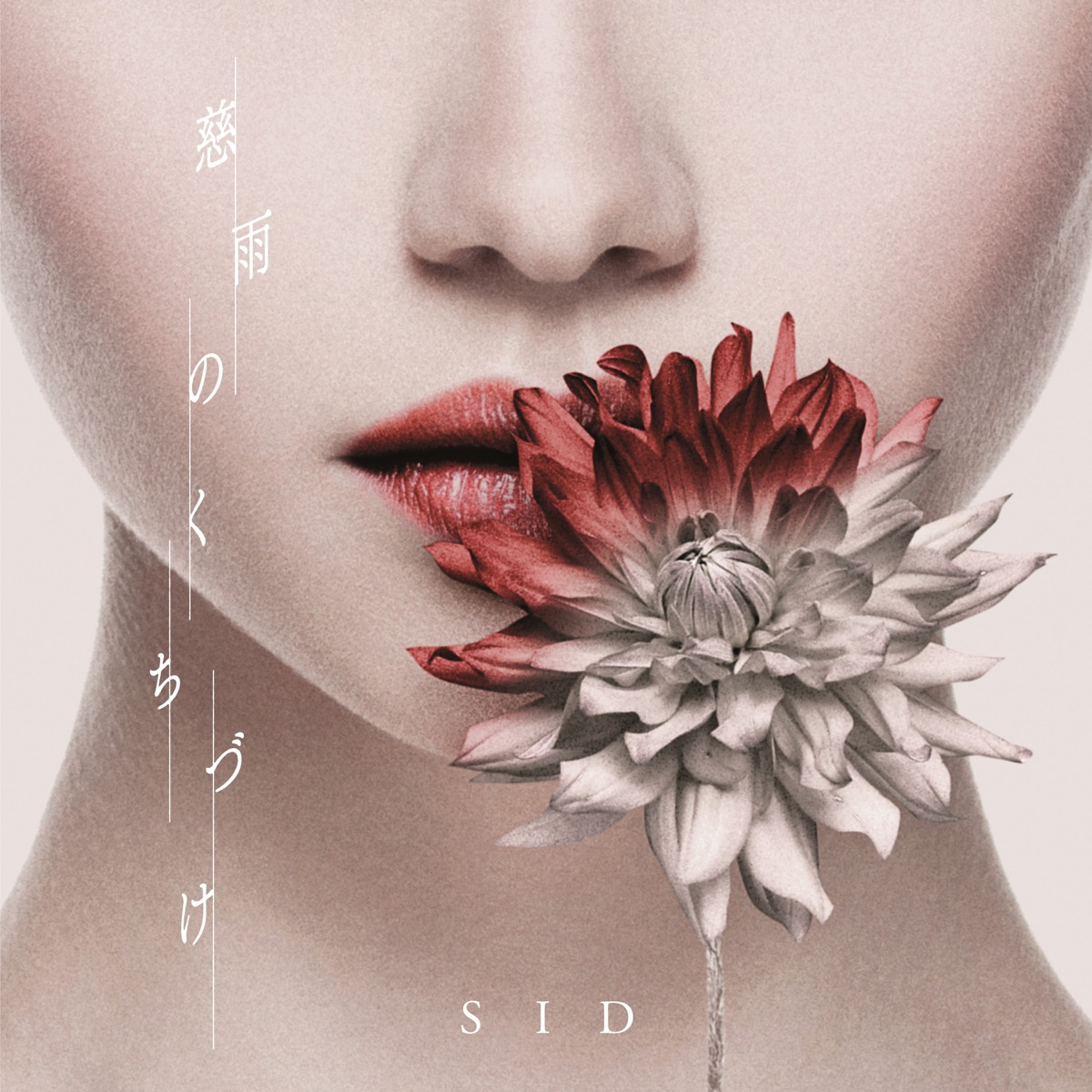 SID 10th Anniversary TOUR 2013 Live at Osaka Expo70