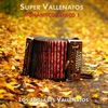 Super Vallenatos Románticos, Vol. 1