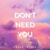 Don't Need You - Single