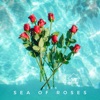 Sea Of Roses - Single