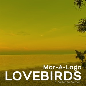 Mar-A-Lago (feat. Declan McDermott) - Single