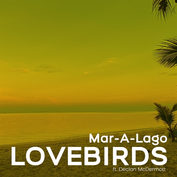 Mar-A-Lago (feat. Declan McDermott) - Single