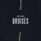 Lewis Capaldi Bruises - Alex laray lyrics