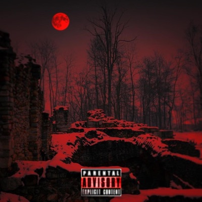 Snowfall (feat. 6Ixty) - Single