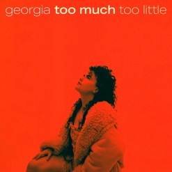 TOO MUCH TOO LITTLE cover art