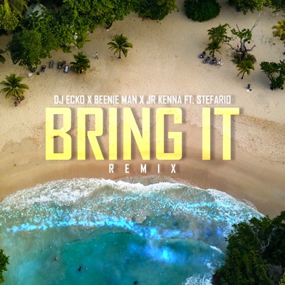 Bring It (feat. Stefario) [Remix] - Single