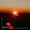 Soulmate x Amélie x Interstellar x Passacaglia (Edit) - Andrea Vanzo