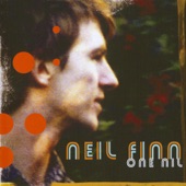 Neil Finn - Driving Me Mad