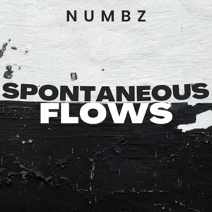 Spontaneous Flows - Single