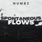 Spontaneous Flows - Numbz lyrics