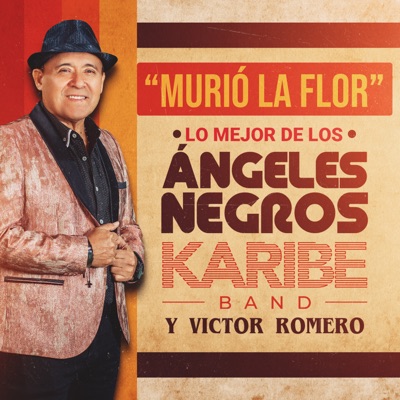 Murió la Flor: Lo Mejor de Ángeles Negros - EP