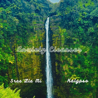 Anxiety Cleanser - Single