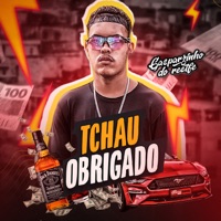 Tchau, Obrigado - Single - Gasparzinho do Recife