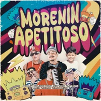 Morenin Apetitoso (feat. Leandro Fuxicando, Jadeu Leozin & Tadando gustavo) - Single - DJ Calixto, Chelzinho no Beat & Felipe Beats