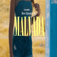 Malvada - Single - Joss ChamakitOg & DjDirty Ortiz