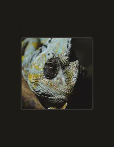 Listen to Callejas, watch music videos, read bio, see tour dates & more!