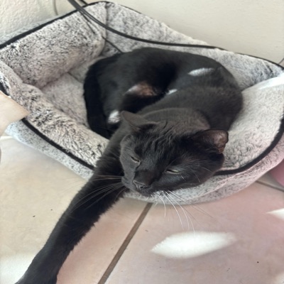 Take a Lil Second - Single