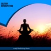 Solitary Introspection - Lovely Meditating Music