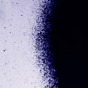 Dernière Danse (Instrumental)