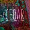 controlled burn (feat. Heather Bentley) - Kaley Lane Eaton lyrics