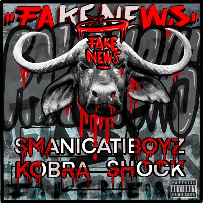 FAKE NEWS (feat. Kobra Shock) - Single
