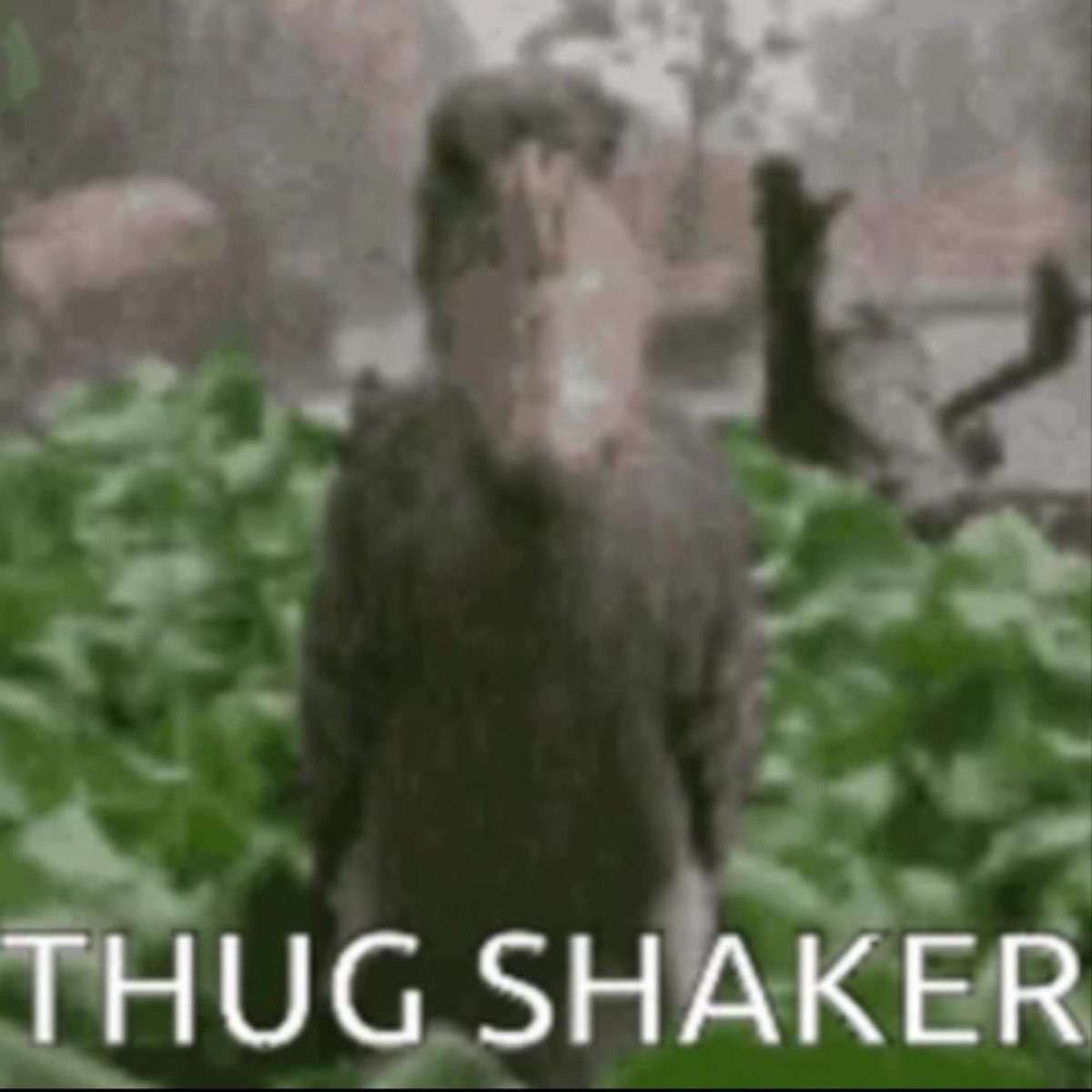 Thung shaker