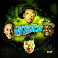 Pegando Sua Atenção (feat. Dj Pkzin) - Single - Mc Gabluca, MC Skcot & MC Keven da VC