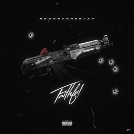 Faithful Roadrunnerjay