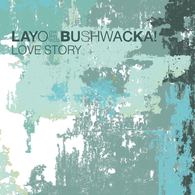 Love Story (Bushwacka! Remix) cover art