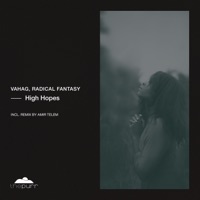 High Hopes - Single - Vahag, Radical Fantasy & Amir Telem