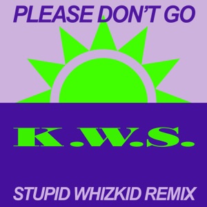 Please Don't Go (Stupid Whizkid Remix) - Single