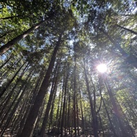 Fourfive (feat. Heroinsick & Mintedzerosix) - Single - traxt