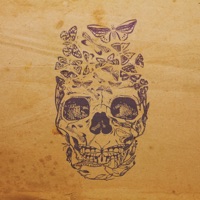 New Decade Old Scars (feat. Joshua Idehen) - Single - pilgriim