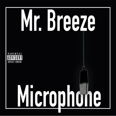 Microphone - Single
