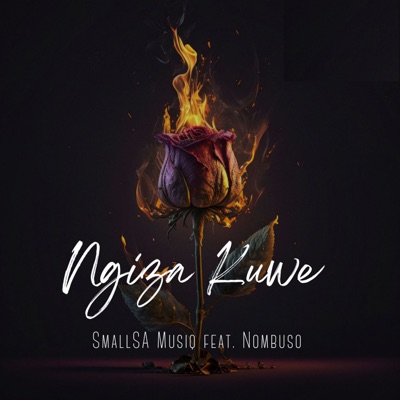 Ngiza Kuwe (feat. Nombuso) - Single