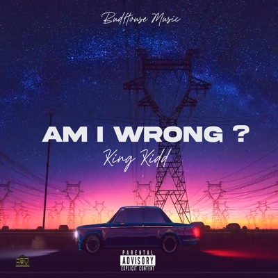 Am I Wrong (feat. Depo Dice) - Single