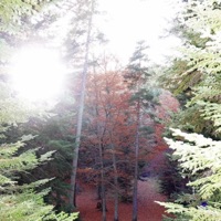 Again - Single - vislyn & BES