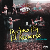 Te Amo en el Recuerdo